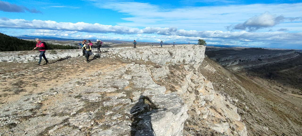 WhatsApp Image 2026-02-10 at 14.47.49 (1)